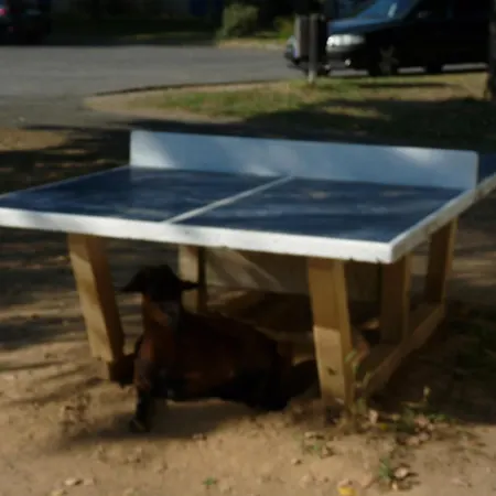 Chez Maïka Et Etienne Appartement *