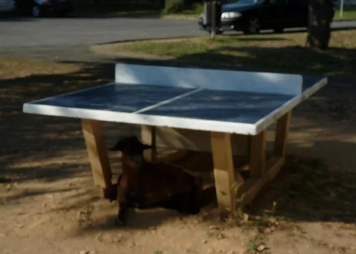 Chez Maika Et Etienne Lejlighed *